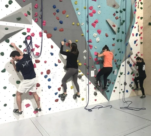 seminaire escalade